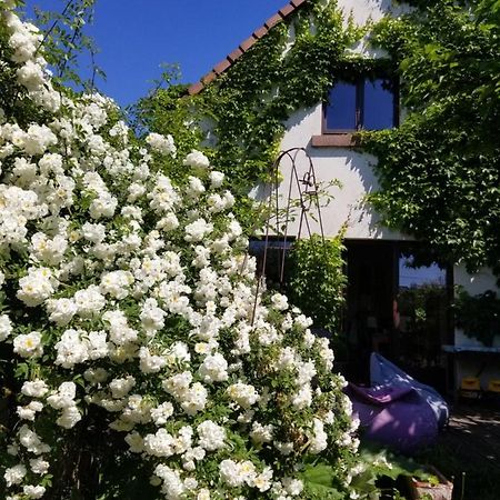 chambre d'hôtes de charme, un temps en forêt Westhouse Extérieur photo