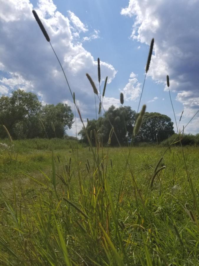 chambre d'hôtes de charme, un temps en forêt Westhouse Extérieur photo