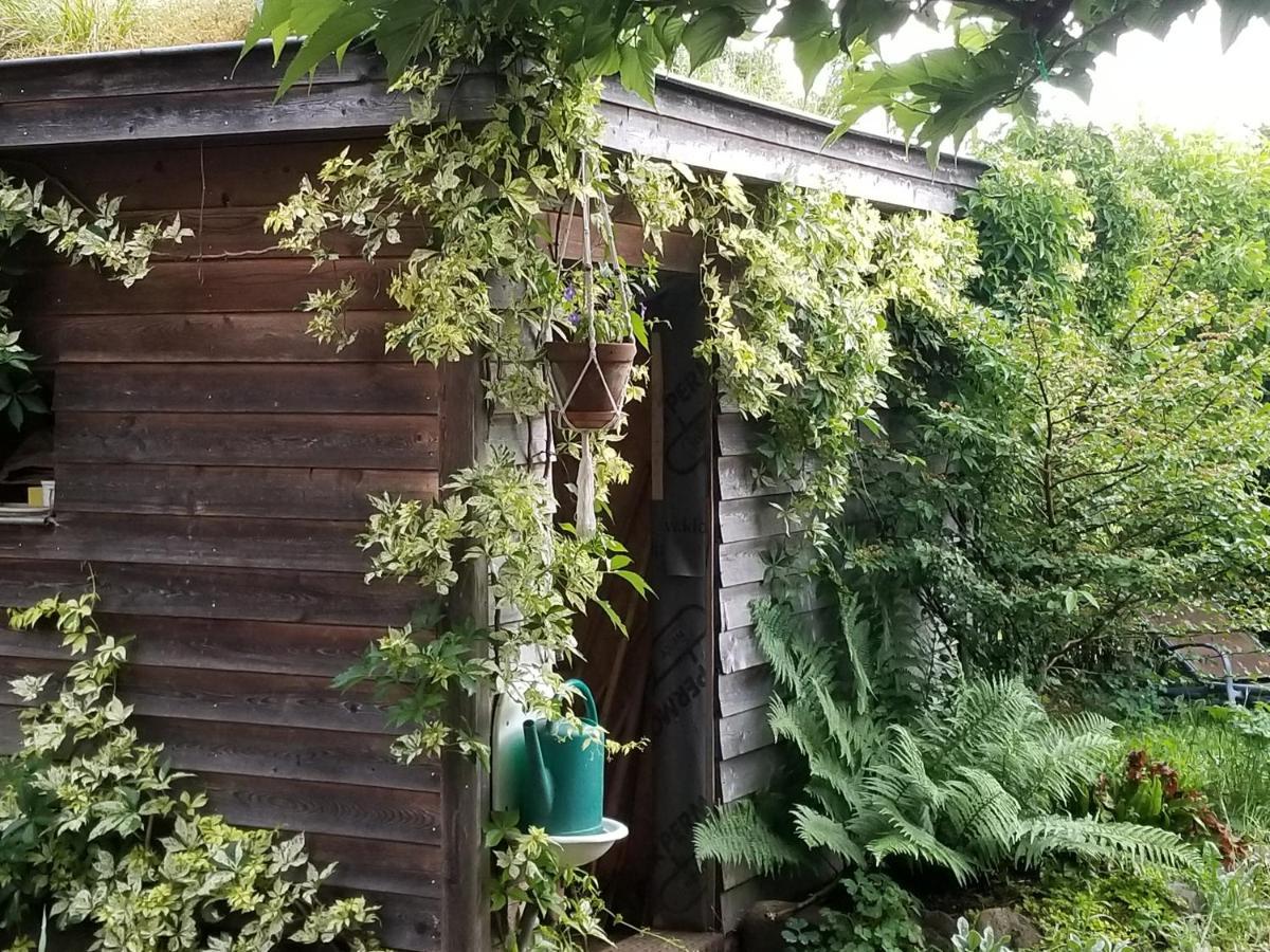 chambre d'hôtes de charme, un temps en forêt Westhouse Extérieur photo