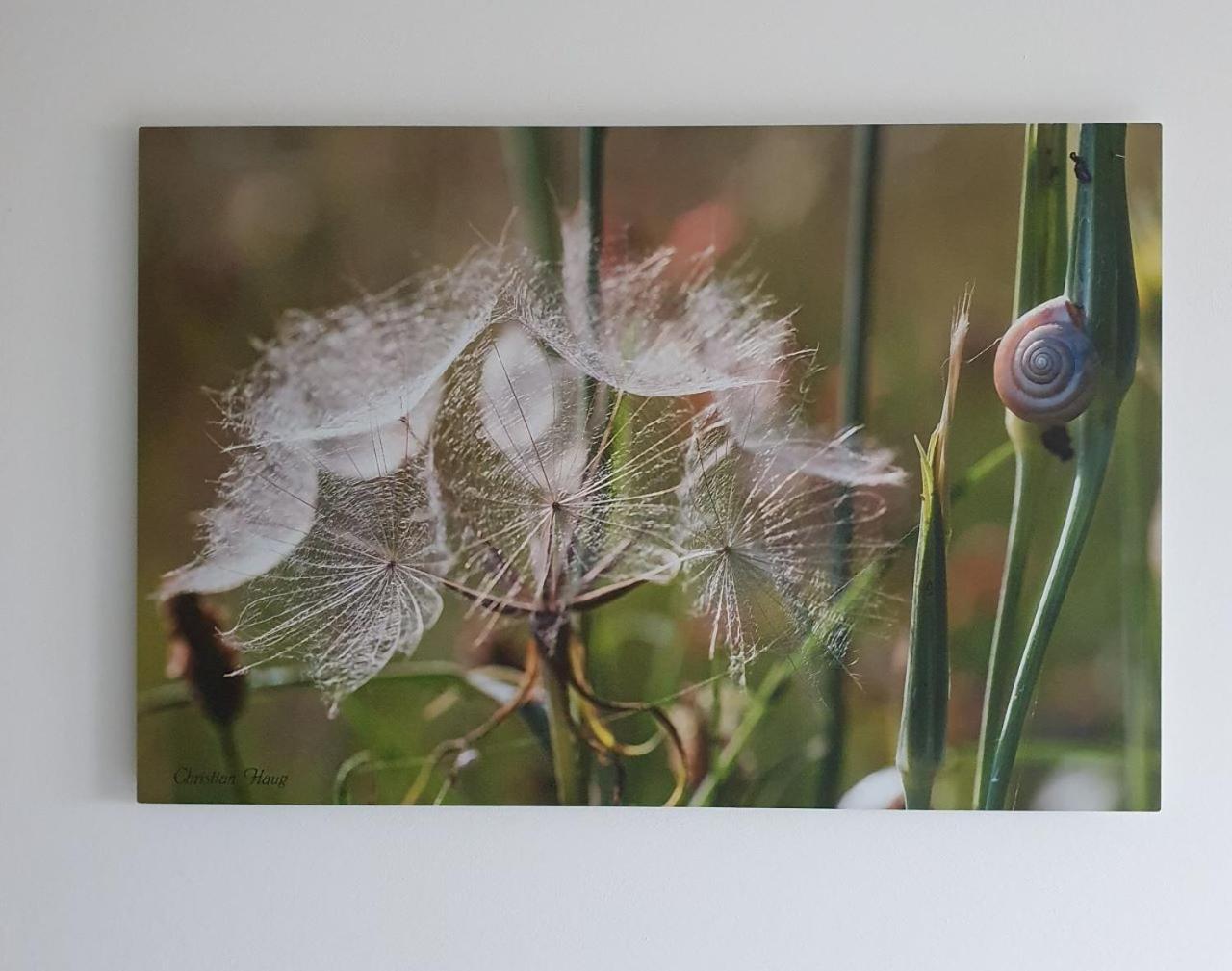 chambre d'hôtes de charme, un temps en forêt Westhouse Extérieur photo